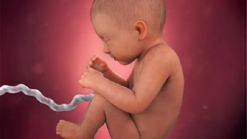 تحسن الظروف..شرط لا مانع منه لتأخير الانجاب بين الزوجين