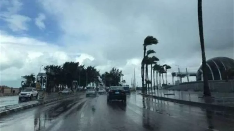 الأرصاد: أمطار خلال الساعات المقبلة على تلك المناطق.. وانخفاض تدريجي في درجات الحرارة بداية من الغد
