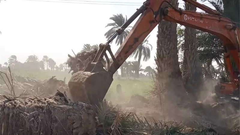 إزالة 346 حالة تعد على الاراضى فى بنى سويف