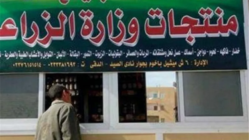 وفر فلوسك.. منافذ وزارة الزراعة تحارب جشع التجار وتطرح اللحوم والمنتجات بتخفيضات 50%