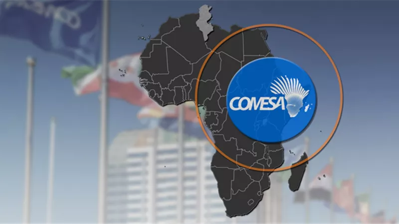 التمثيل التجاري يستضيف اجتماع تنسيقية تنفيذ رؤية مصر خلال رئاستها لتجمع الكوميسا