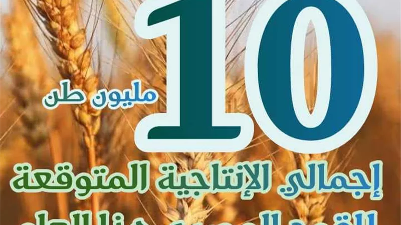بالأرقام.. الزراعة تستعرض المحافظات الأعلى إنتاجا للقمح