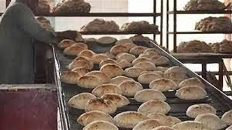 غرفة صناعة الحبوب: التموين قررت تخفيض أسعار الدقيق السياحي من 12 ألف إلى 8500 جنيه