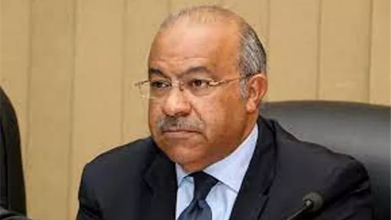 التموين: يتم إنتاج ربع مليار رغيف خبز يوميا.. فيديو