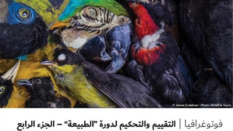 التقييم والتحكيم لدورة 