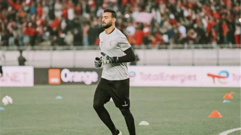 شوبير: 