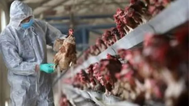 روسيا تفرض حظرا على استيراد منتجات فرنسية