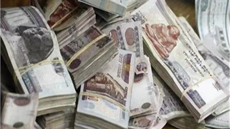 عصابة الكيف بمطروح غسلت 50 مليون جنيه من تجارة السموم