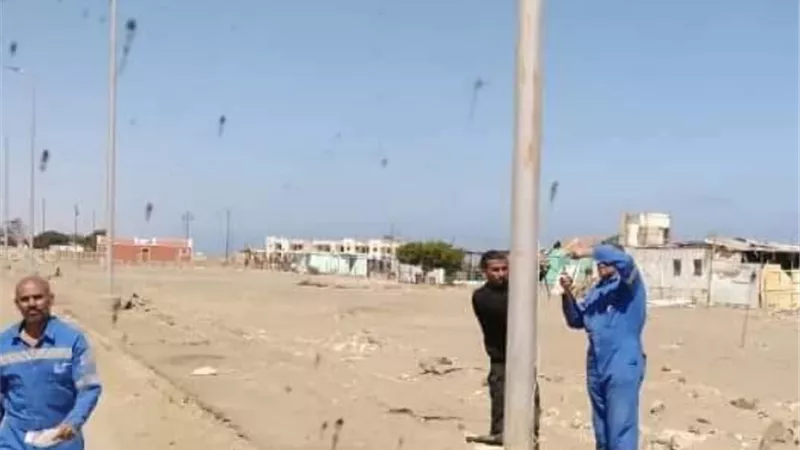 رئيس مدينة مرسى علم : صيانة كابلات وأعمدة الإنارة