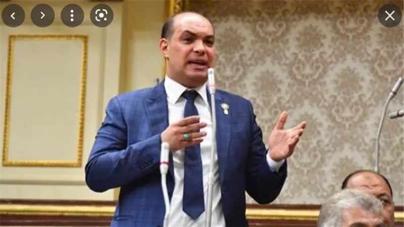 نائب: مصر نجحت في اختبار كورونا بفضل القيادة السياسية واستراتيجيتها الشاملة