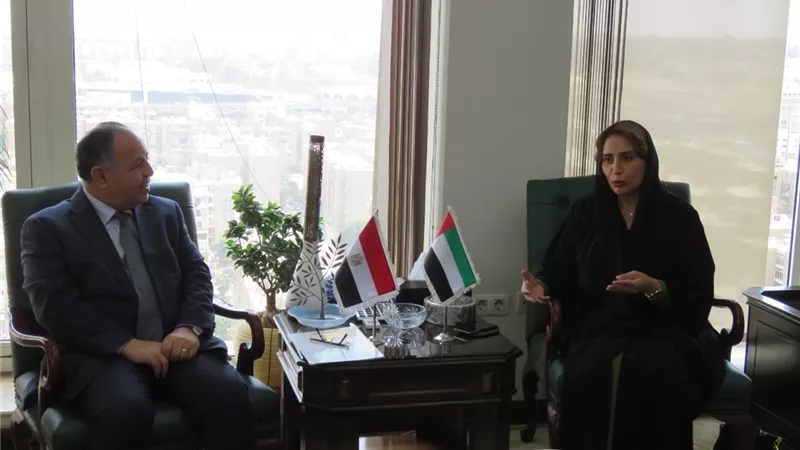 وزير المالية: التضامن العربى ركيزة أساسية لمواجهة التحديات العالمية
