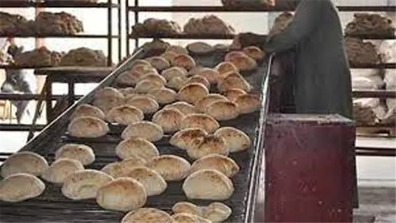 شعبة المخابز: نظام جديد لتحديد سعر الخبز بدءا من اليوم