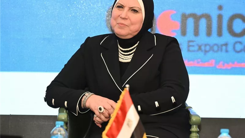 وزيرة التجارة: تنسيق كامل مع القطاع الخاص لوضع رؤية متكاملة لزيادة الصادرات