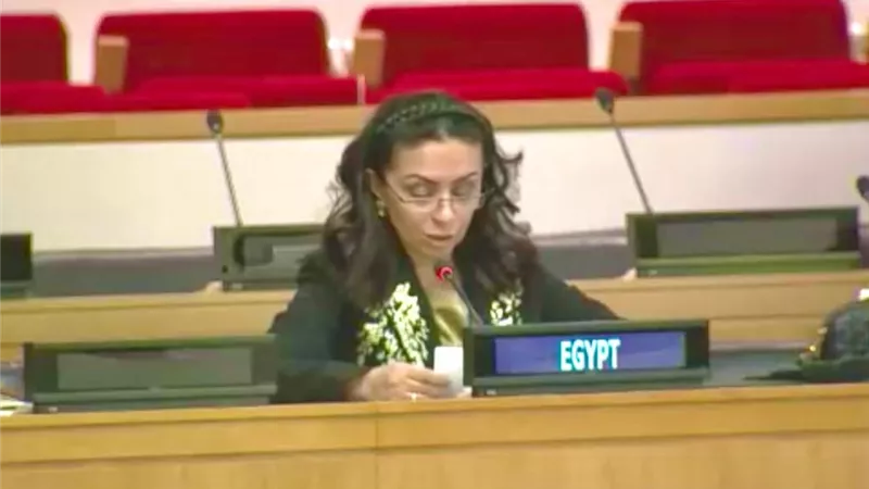 مايا مرسى تستعرض رؤية مصر للمرأة والبيئة والمناخ