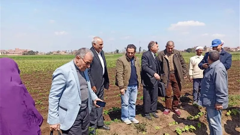 مدرسة حقلية عن محصولى البطاطس والفراولة بالشرقية
