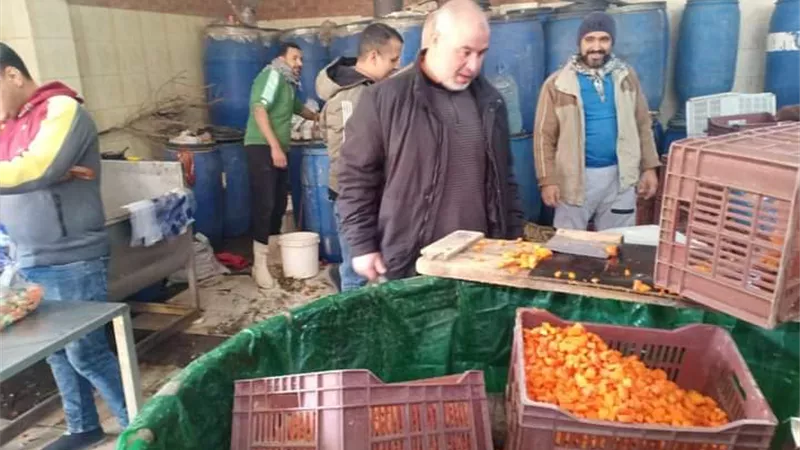 صحة القليوبية تضبط 10طن طرشي بمنشأة غير مرخصة.. والخطيب: الحملات الرقابية مستمرة