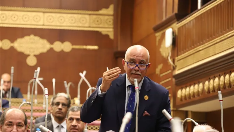 النائب 