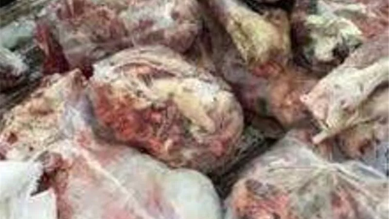 600 كيلو لحوم مجهولة المصدر داخل سوبر ماركت بالقاهرة