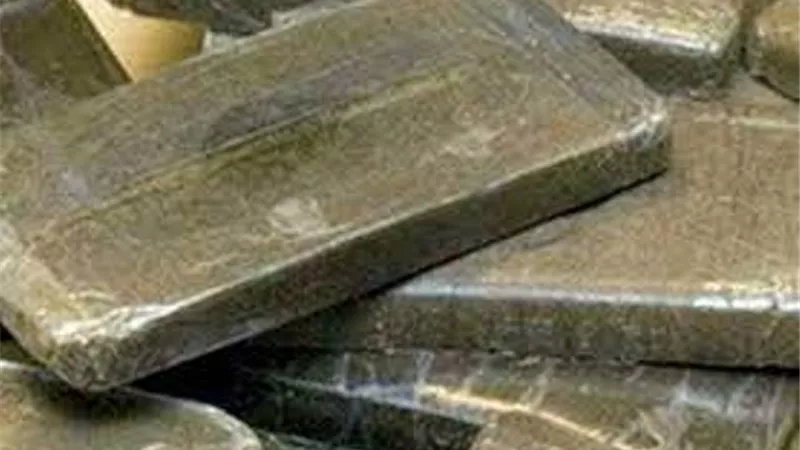 ضبط عنصر إجرامي بحوزته 240 طربة حشيش في الشرقية