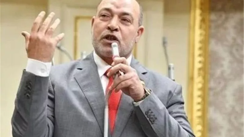 نائب: منتدى مستقبل وطن حقق أهدافه كاملة و استعرض منجزات الجمهورية الجديدة