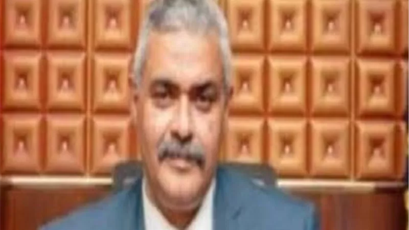 ضبط 36 سلاح نارى وأبيض فى حملة امنية بكفر الشيخ