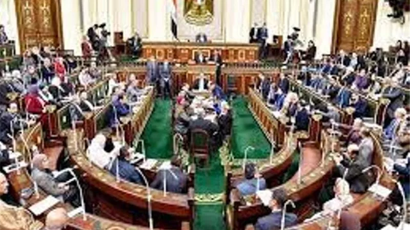 قيادات وأعضاء البرلمان: عودة المجالس الشعبية.. بداية تطوير الإدارة المحلية