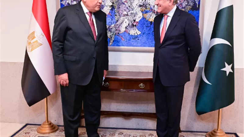 بالفيديو ..وزير الخارجية الباكستاني يلتقي نظيره المصري لبحث سبل التعاون المشترك