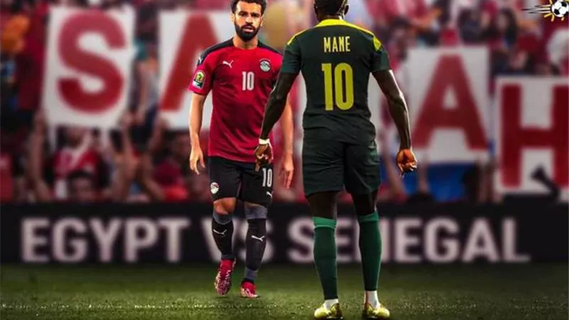 مدرب الزمالك السابق: حضور الجماهير قد يؤثر سلبيا على منتخب مصر أمام السنغال