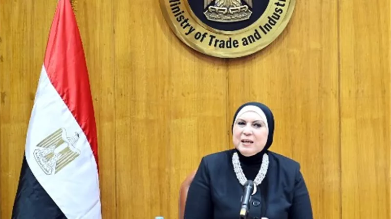 وزيرة التجارة تبحث مع كبريات الشركات الألمانية فرص التعاون الصناعي والاستثماري