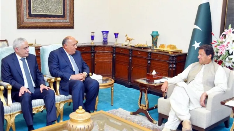 وزير الخارجية يسلم رسالة موجهة من الرئيس السيسى إلى رئيس الوزراء الباكستانى