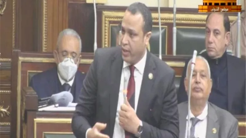 النائب محمد طلبة يحصل على موافقة بزراعة 1000 فدان أرز بالإسماعيلية
