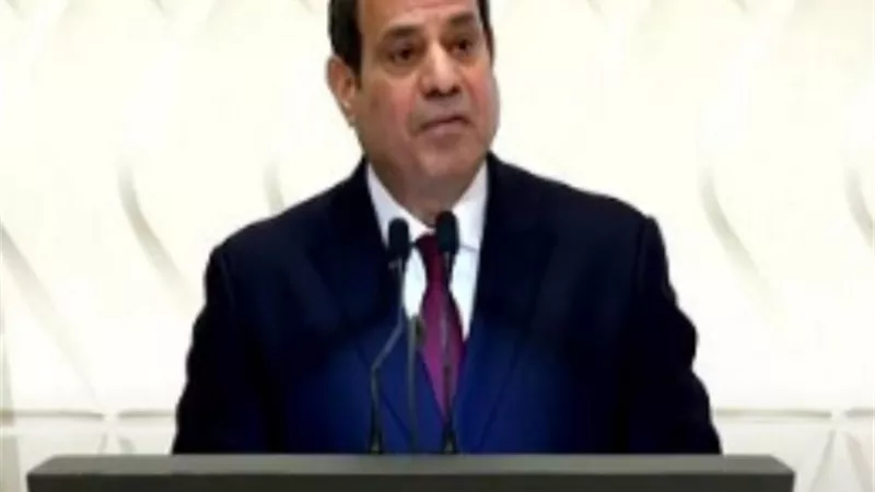 الرئيس السيسي: تنفيذ البرنامج الاقتصادي أنقذ مصر من الأزمة الاقتصادية العالمية