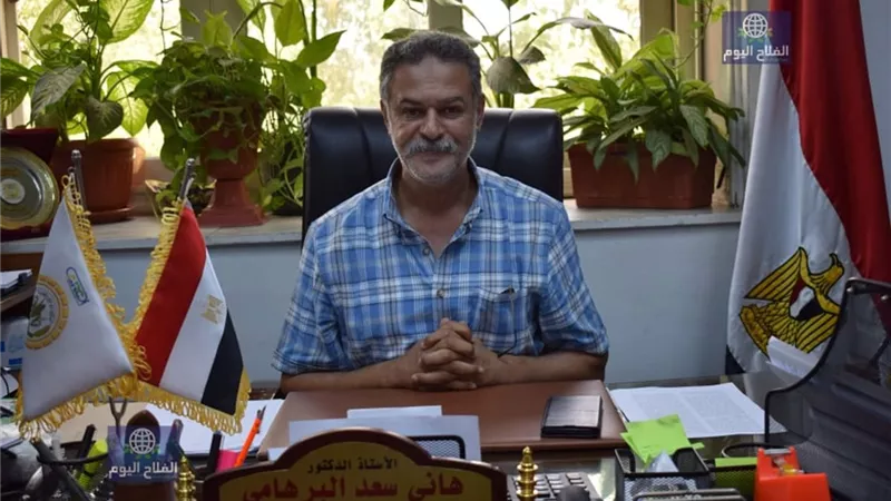 القيادة السياسية تقود القطار الأخضر بالتوسع في زراعات القمح لتحقيق الاكتفاء الذاتي
