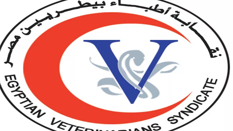 تواصل نقابة البيطريين مع مجلس النواب لمناقشة مشاكل سلامة الغذاء وقضايا المهنة