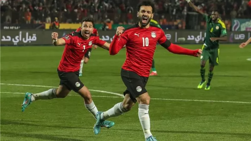 قناة مجانية على النايل سات تذيع مباراة مصر والسنغال فى إياب تصفيات كأس العالم