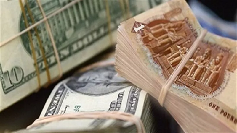 استقرار أسعار صرف الدولار مقابل الجنيه المصرى بداية التعاملات اليوم