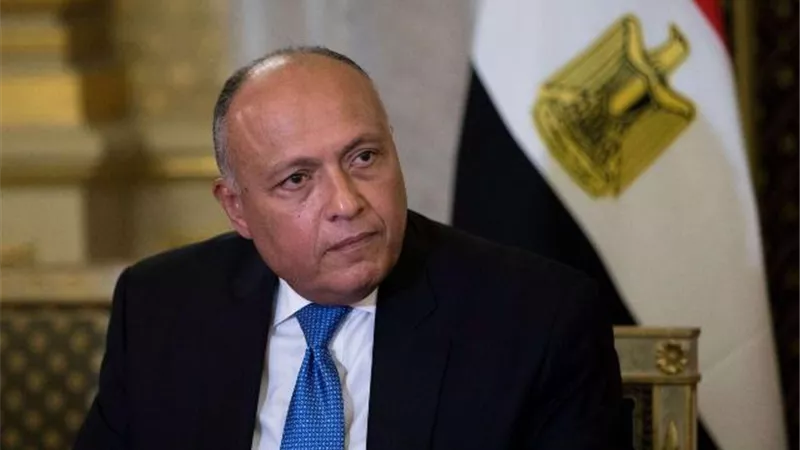 شكري: الدورة الـ27 لمؤتمر تغير المناخ ستكون نقطة فارقة على صعيد العمل الدولي
