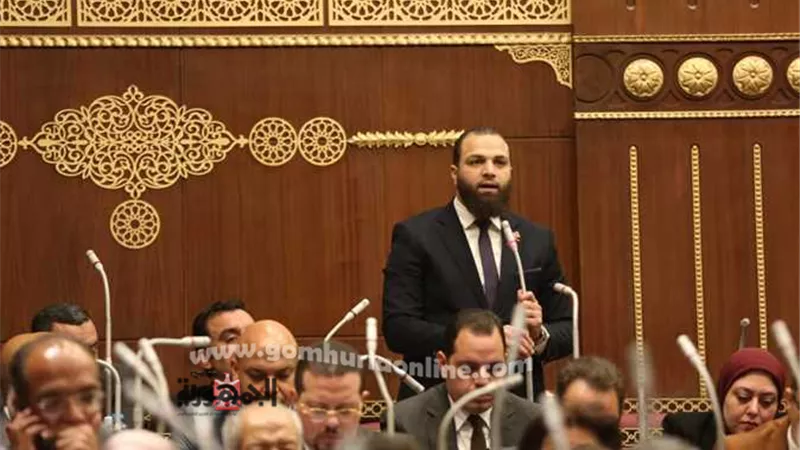 نائب التنسيقية : إنقاذ 20 ألف جمعية أهلية بعد موافقة 