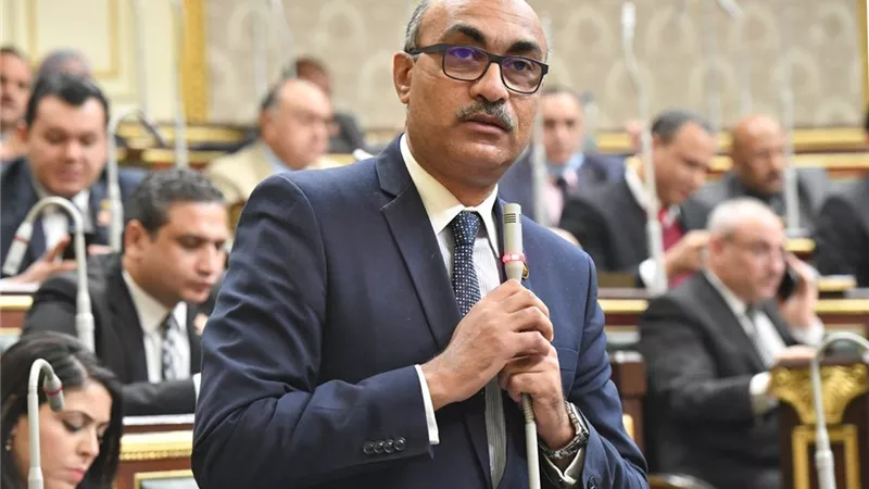 رئيس الهيئة البرلمانية للحزب المصري الديمقراطي يحذر من عدم الرقابة على الأسواق