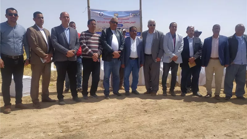 احتفالية أبطال القطاع الزراعي بموسم حصاد الذهب الأصفر على أرض الفيروز