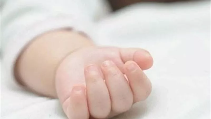 تعرض جسده للنهش.. العثور على طفل حديث الولادة في حقل بجنوب لبنان
