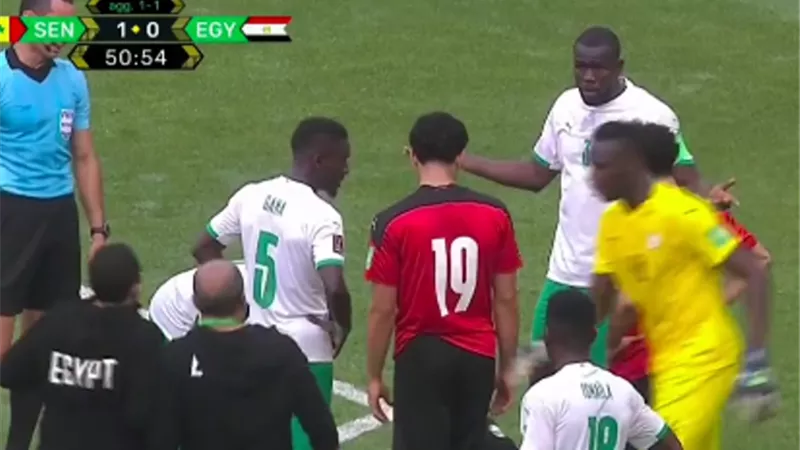 فيديو .. مدحت شلبى عن ترويض الفراعنة للاسود فى الشوط الثانى : 
