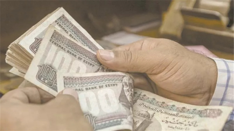الحكومة .. لمجلس النواب: إيداعات المصريين بالخارج .. آمنة تمامًا