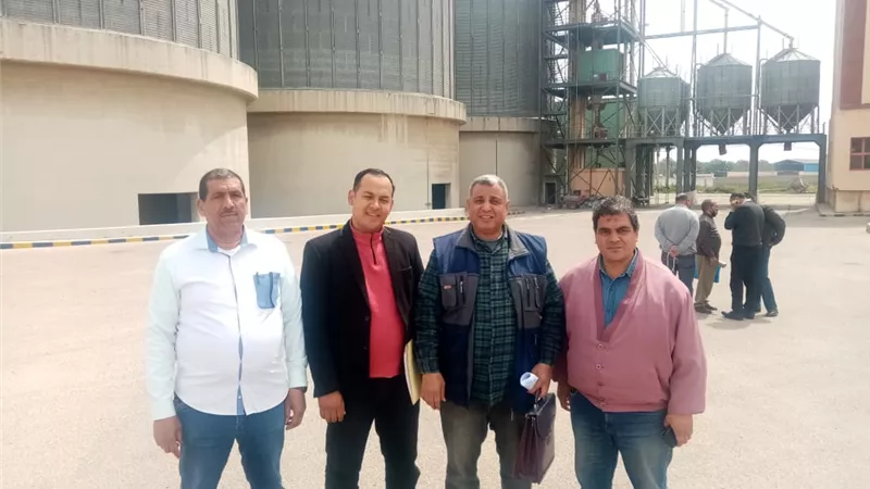 الأسكندرية تستعد لأطول مارثون لتوريد القمح