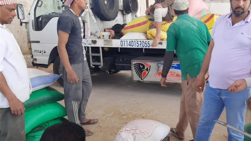 التموين تعلن بدء موسم توريد الاقماح المحلية حتى نهاية اغسطس المقبل
