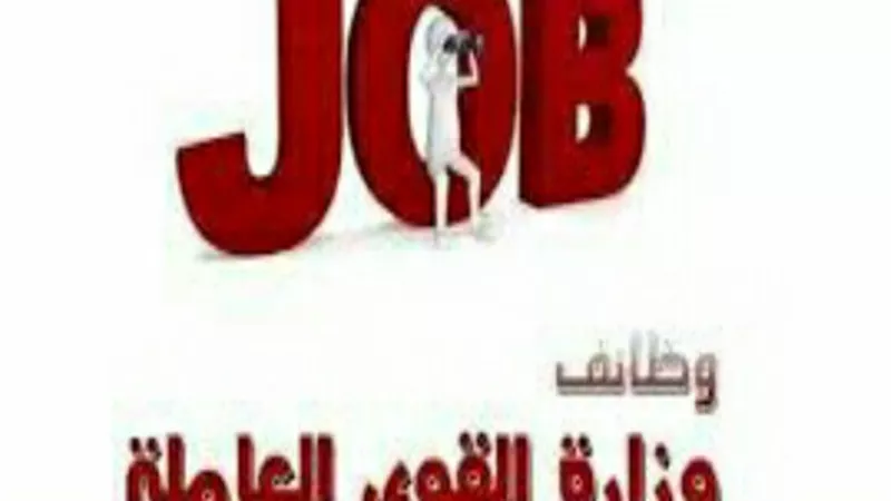 القوى العاملة بالقليوبية تعلن عن ٤٤٠ وظيفة للشباب من الجنسين
