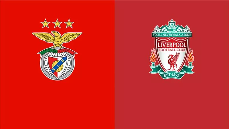 موعد مباراة ليفربول وبنفيكا اليوم بدوري أبطال أوروبا.. والقناة الناقلة