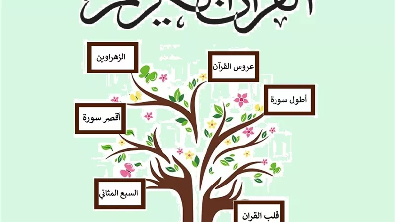 أطول وأقصر سور المصحف .. وما هما الزهراوين وعروس القرآن الكريم؟