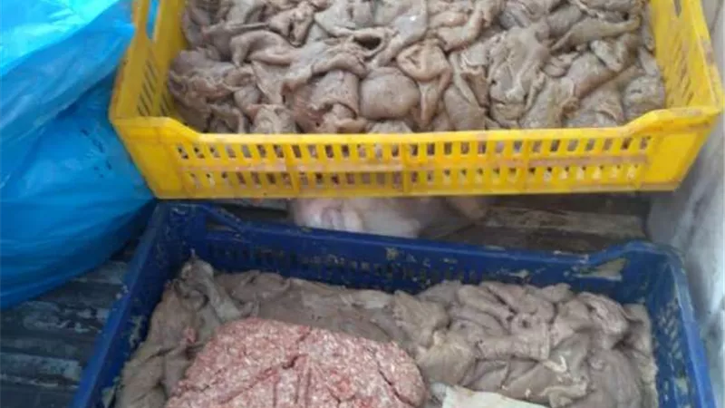 غلق وتشميع مطعم مأكولات شهير بالجيزة بعد ضبط ٢ طن لحوم مجمدة ودواجن غير صالحه للاستخدام الادمي