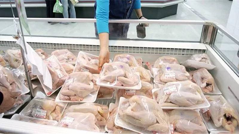 إعفاء 20 ألف طن دواجن مجمدة من الضرائب الجمركية